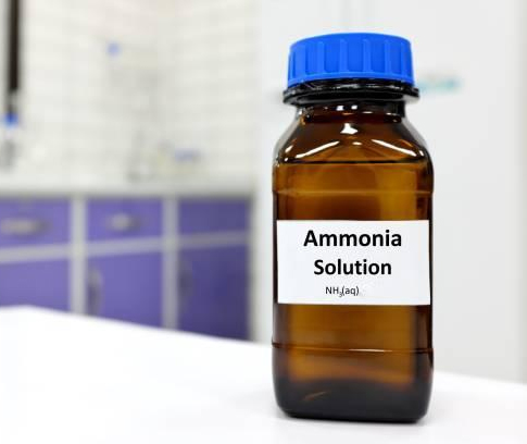 Detection of Anions in Aqueous Ammonia