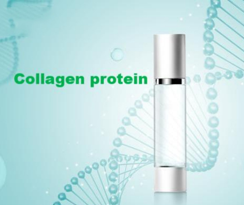 Detection of Acetic Acid in Collagen Protein
